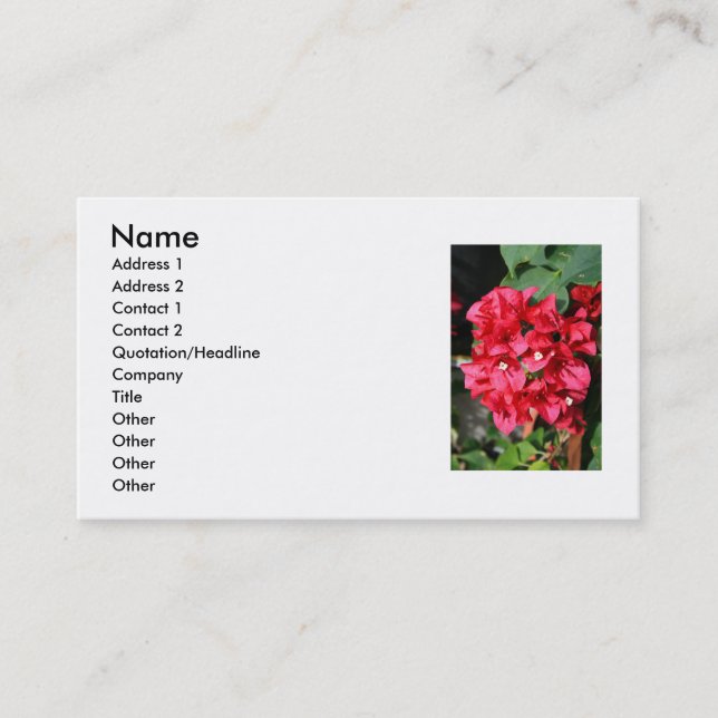 La bouganvillée fleurit le carte de visite (Devant)