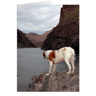LA BRETAGNE SUR LE FLEUVE COLORADO