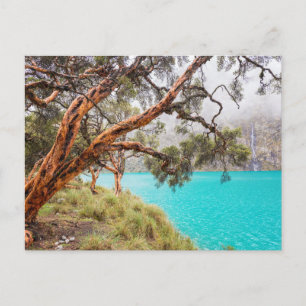 La bruma y el lago, Huaraz, Peru. Postkarte