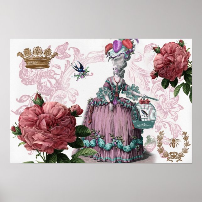 la cage aux oiseaux (The Birdcage) Poster (Vorne)