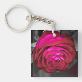 La Camellia Rosy