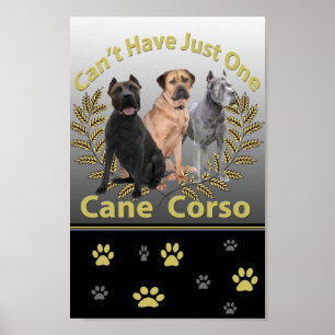 La canne Corso ne peut pas avoir les affiches