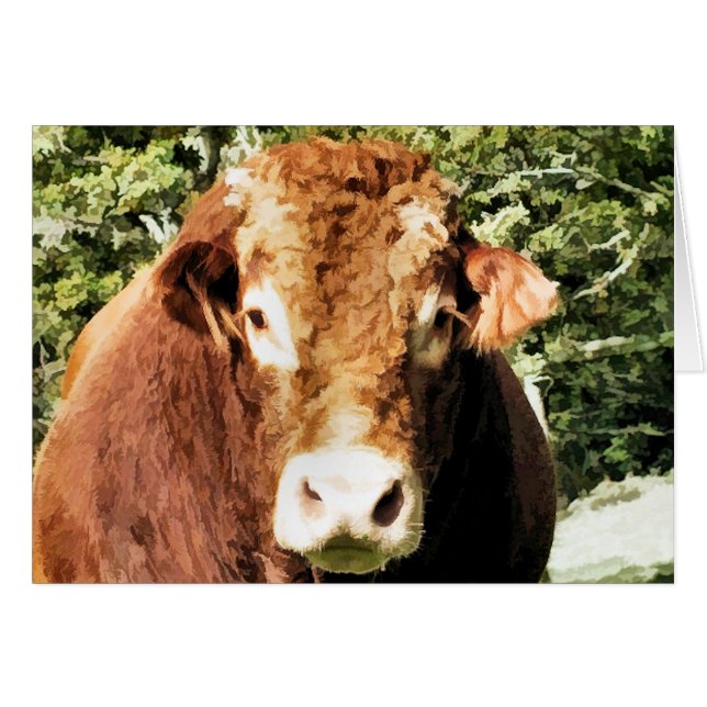 LA CARTE À BULLE (Devant horizontal)