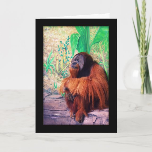 La carte Contemplater (Devant)