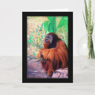 La carte Contemplater