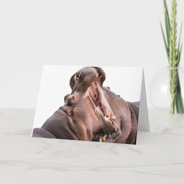 La carte de deux hippo à grande bouche (Devant)