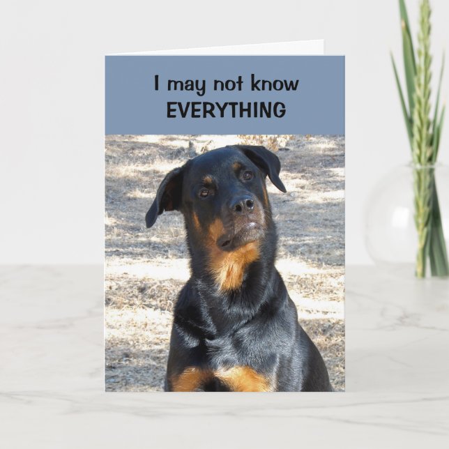 La carte de la Saint-Valentin Rottweiler (Devant)