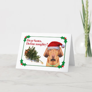 La carte de Noël du Vizsla vilain