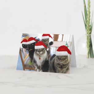 La carte de Noël Gang extra Milk