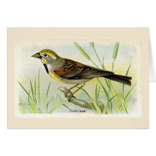 La carte de remerciement de Dicki Bird (Devant horizontal)
