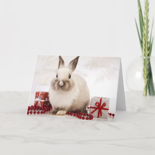 La carte de vacances de WildRescue ! (Devant)