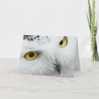 La carte de Valentine de hibou observée par jaune