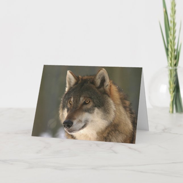 La carte de Valentine de loup (Devant)