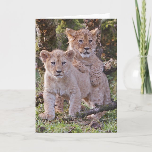 La carte de voeux de petits animaux de lion, (Devant)