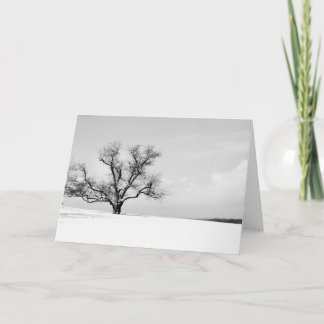La carte de voeux One Tree in Winter
