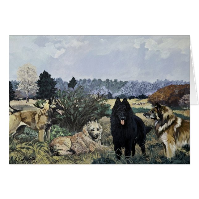 La carte des quatre Belges (Devant Horizontal)