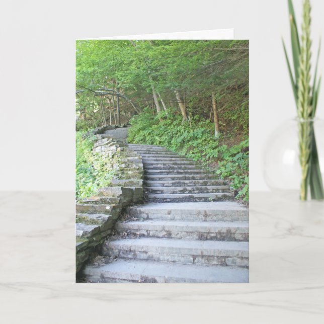 La carte d'obtention du diplôme, babeurre tombe le (Devant)