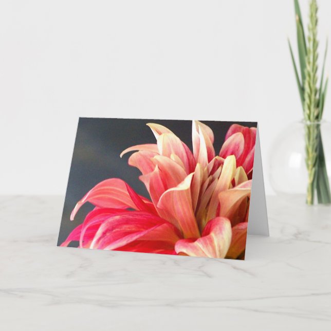 La carte d'occasion. (Devant)