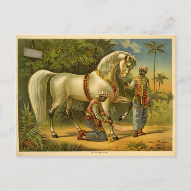 La carte postale du sultan (Devant)