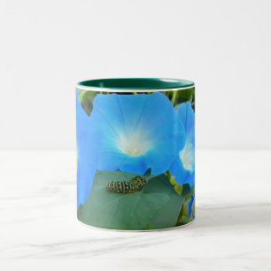 La Caterpillar Et La Mug Des Glories Du Matin