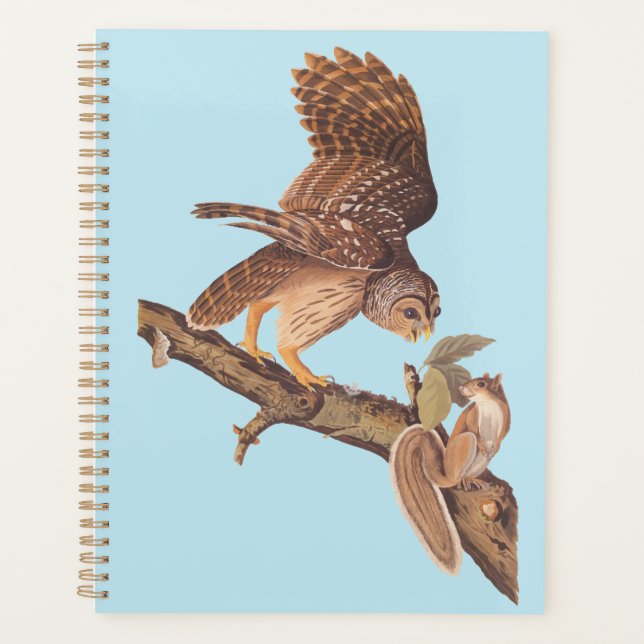 La Chouette barrée d'Audubon et les amis de l'écur (Devant)