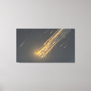 La chute Extraordinaire de SpaceX - Art de toile I