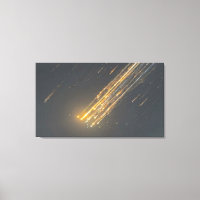 La chute incroyable de SpaceX - Toile d'art iconiq