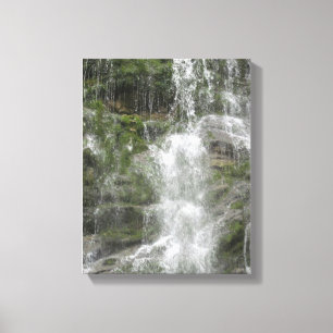 La Chute Wasserfall im Forillon Nationalpark Leinwanddruck
