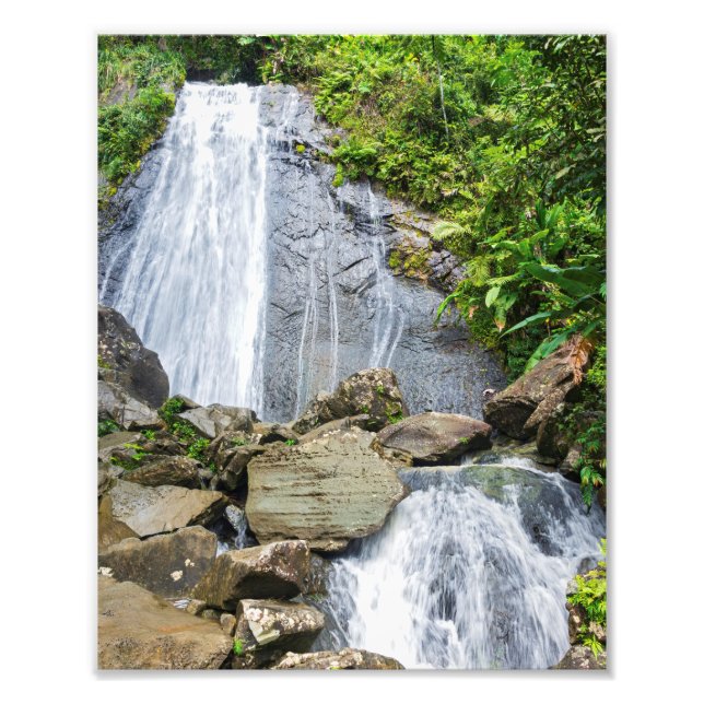 La coca fällt in den Yunque National Wald Fotodruck (Vorne)