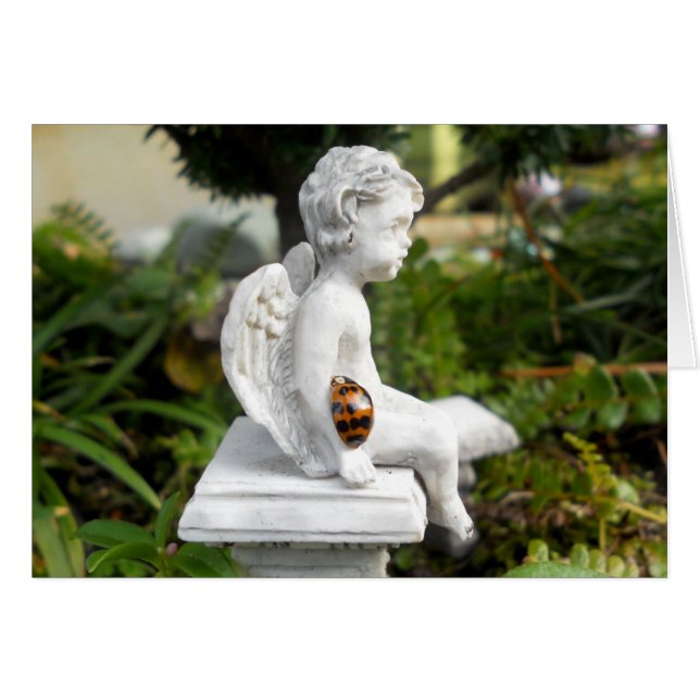 La coccinelle et l'ange (Devant horizontal)