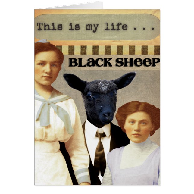 La collection d'Arts numériques de la famille Odd (Devant)