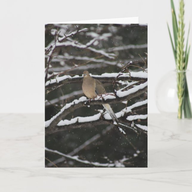 La colombe en deuil dans la neige Carte de voeux (Devant)