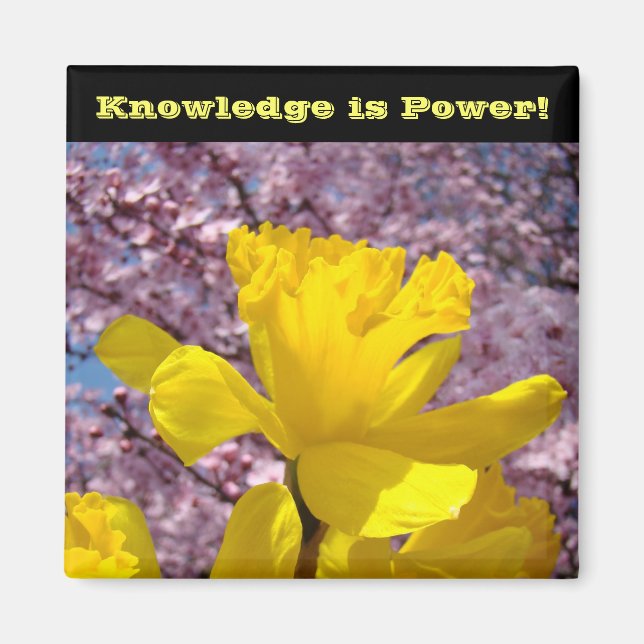 La connaissance magnet de la serrure scolaire est  (Devant)