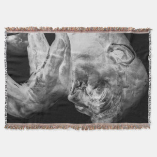 La couverture de jet de penseur