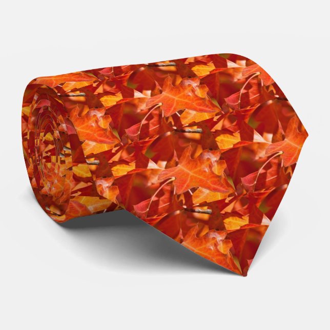 La cravate des hommes de feuille d'automne (Roulé)