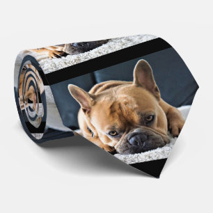 La Cravate du chien fou français