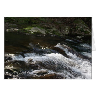 La crique des Appalaches