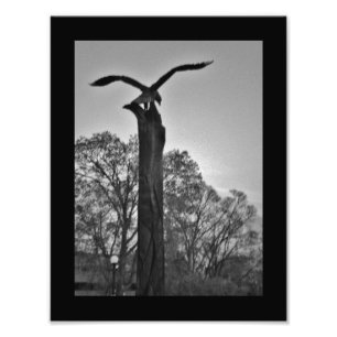 La Crosse Eagle Fotodruck