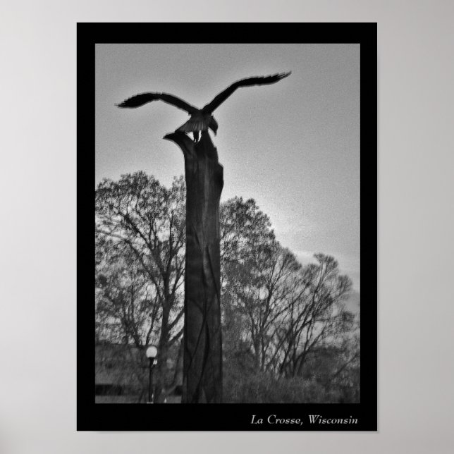 La Crosse Eagle Poster (Vorne)