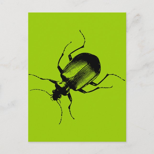 La Cucaracha Postkarte (Vorderseite)