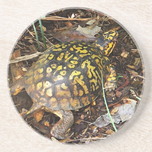 La CZ dessous de verre de tortue de boîte (Devant)