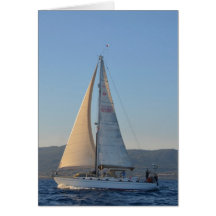 La Dame Ombragée En Début De Matin