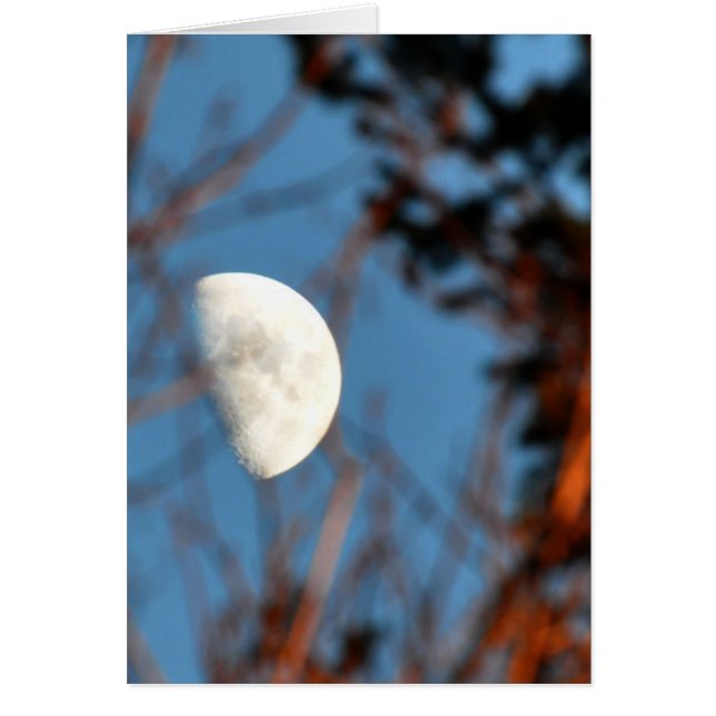 La demi-lune à travers les branches de la caserne (Devant)