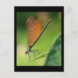 La demoiselle postkarte