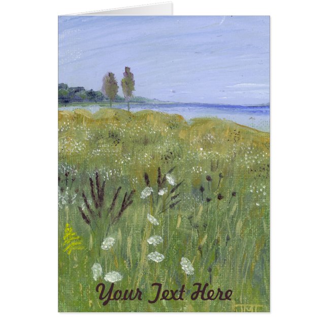 La dentelle de la reine Anne (Devant)