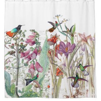 La digitale de crocus de colibri fleurit le rideau