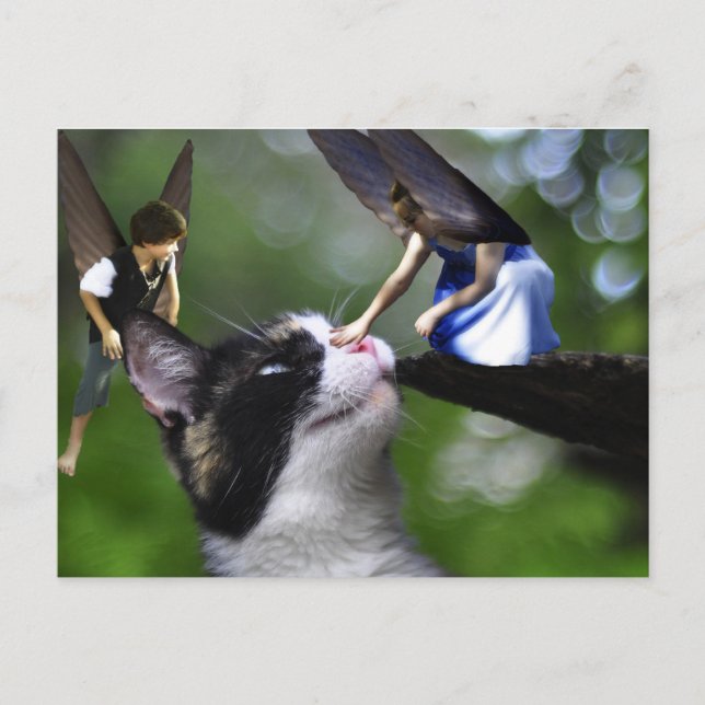 La Fairys et la carte postale Kitty Cat (Devant)