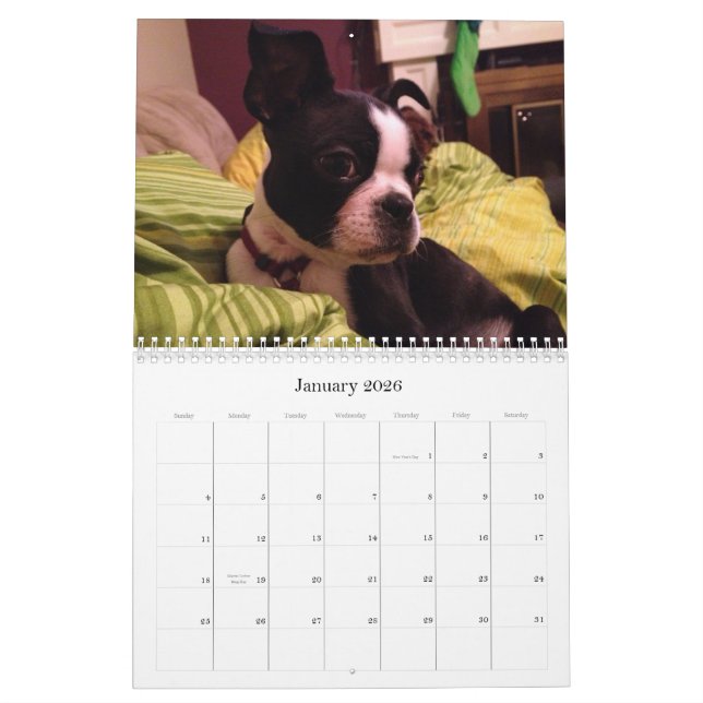 La famille 2013 poursuit le calendrier (Jan 2026)