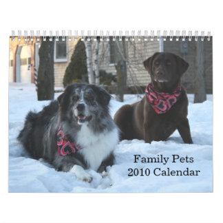 La famille choie 2010 le calendrier 2