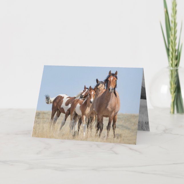 La famille des Chevaux sauvages penche la carte de (Devant)